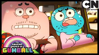 The Story Of When Anais Was Born  Gumball  Cartoon Network [upl. by Anabal]