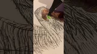 Drawing the Deinocheirus From Prehistoric Planet [upl. by Taft]