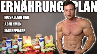 ERNÄHRUNG  So erreichst du deinen Traumkörper   Ernährungsplan und Supplements [upl. by Laraine136]