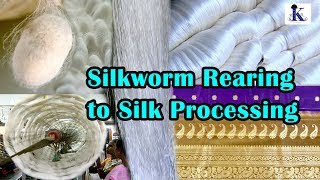 Silkworm rearing to silk processing [upl. by Cattier]