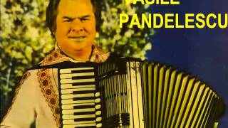 Vasile Pandelescu  Acordeon [upl. by Roselia]