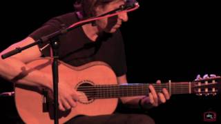 Dominic Miller  Fields of Gold HD [upl. by Mariel]