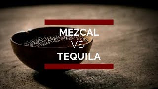 Mezcal vs Tequila Principales Diferencias ¡ Conócelas [upl. by Chemosh640]