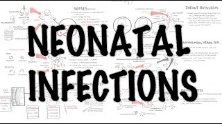 Neonatal Infections  Overview [upl. by Zigrang]