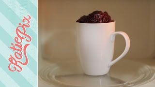 Chocolate Microwave Cake in a Mug Recipe  Katie Pix [upl. by Fitalludba]