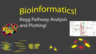 Bioinformatics  KEGG Pathway Visualization in R [upl. by Joktan]