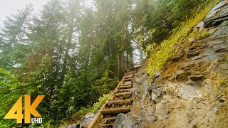 4K Virtual Walk through Beautiful Mountain Forest  Fascinating Comet Falls Mt Rainier Area [upl. by Andromeda]