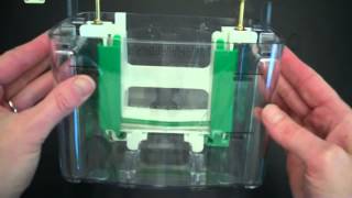 SDS PAGE Part 1 Assembly and Electrophoresis [upl. by Lener]