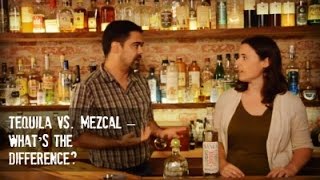 Tequila Vs Mezcal  Whats the Difference [upl. by Notwal]