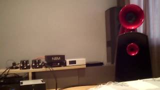 Delta Acoustics Selena SA Feliks Audio DUO XLR DAC NEM [upl. by Nyvlem]