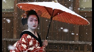 The Secret World Of Geishas [upl. by Hannahs]