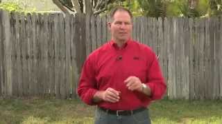 How To Stop Lawn Weeds  Ace Hardware [upl. by Kcod]