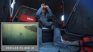 WALLEYE Bites While ICE Fishing SHAWANO LAKE [upl. by Akenehs]