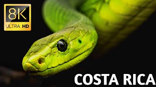 COSTA RICA IN 8K 60fps ULTRA HD [upl. by Hunger412]