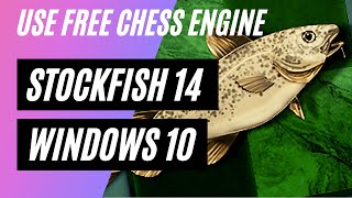 How to download and use stockfish14 [upl. by Asillam73]