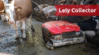 Lely Discovery 120 Collector  Vorteile und Einsatzgebiet [upl. by Adnerol]