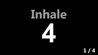 478 Breathing Exercise Timer [upl. by Acirderf276]