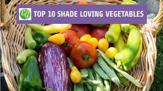 Top 10 Shade Loving Vegetables  The Best Veggies To Grow In Shade [upl. by Nap]