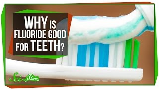 Why Is Fluoride Good for Teeth [upl. by Yelram]