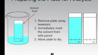 Thin Layer Chromatography  Performing an Analysis [upl. by Lempres]