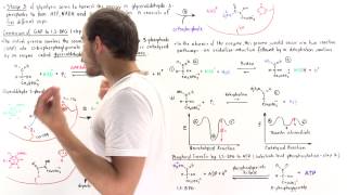 Stage 3 of Glycolysis Steps 6 7 [upl. by Merp]