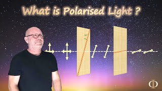 What is Polarised Light Polarisation Part 1  Waves  Physics [upl. by Eisen]