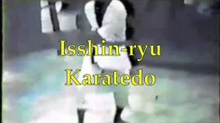 Introduction into the History of Isshinryu Karatedo [upl. by Sass189]