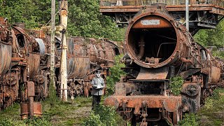 Lost Place The remains of the WW2 REICHSBAHN fleet found in the woods OVER 50 Steam TRAINS [upl. by Stanleigh]