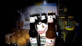 Dumpster Diving Curbside Junkies Style  FREE BEER  The Best Time To Go Dumpster Picking [upl. by Gereron]