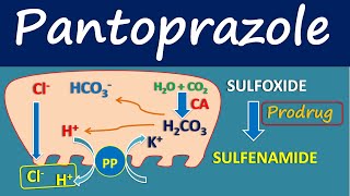 Pantoprazole  Mechanism side effects and uses [upl. by Ainnos]