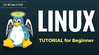 Linux Tutorial for Beginners Introduction to Linux Operating System [upl. by Nottus]