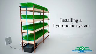 Installing The Hydroponic System [upl. by Ahsoym360]