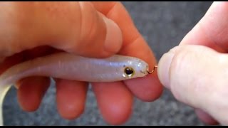 How To Rig A Big Paddle Tail Swimbait [upl. by Hcirdeirf936]