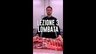 Lezione 3 Lombata [upl. by Iona921]