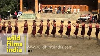 Folk dance The beauty of the Nagas performed by Sangtam Naga tribe Nagaland [upl. by Brenner]