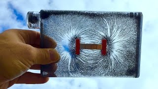 Magnetic Field Visualizer  How To See Invisible Magnetic Lines  3D DIY [upl. by Padegs]