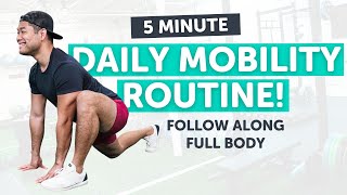 5 Minute Daily Mobility Routine  Follow Along  Full Body [upl. by Stelle]