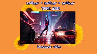 Sunflower Best Remix Versions [upl. by Sarilda]