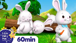 Sleeping Bunnies  LittleBabyBum  Nursery Rhymes for Babies [upl. by Nellie722]