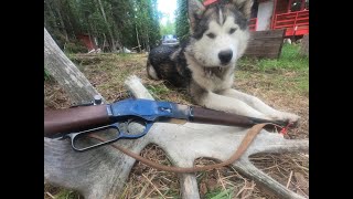 1873 Winchester Miroku Review [upl. by Aleibarg]