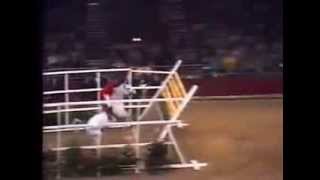 World Record Horse High Jump 2 32 meters [upl. by Lal321]