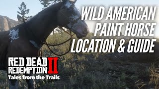 Red Dead Redemption 2 Wild Paint Horse Location  American Paint Horse  Female Voice Guide [upl. by Albertina]