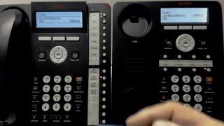 1 Basic Call Handling Avaya 1416 1408 Phones [upl. by Laertnom]