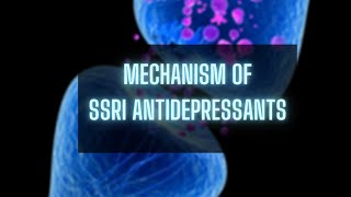 Selective Serotonin Reuptake Inhibitor Mechanism of Action [upl. by Otrebcire]