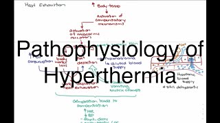 Hyperthermia Pathophysiology [upl. by Nguyen585]