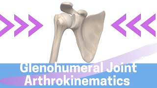 Shoulder Kinesiology Glenohumeral Joint Movement [upl. by Tacita27]