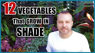 12 Vegetables That Grow in Shade [upl. by Yelir]