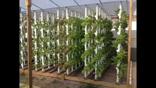 How to  Green House and Vertical Hydroponic System [upl. by Ellednek]