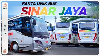 FAKTA UNIK SEPUTAR BUS SINAR JAYA [upl. by Aeila9]