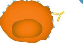 Monoclonal Antibodies Making Cancer a Target [upl. by Idorb]